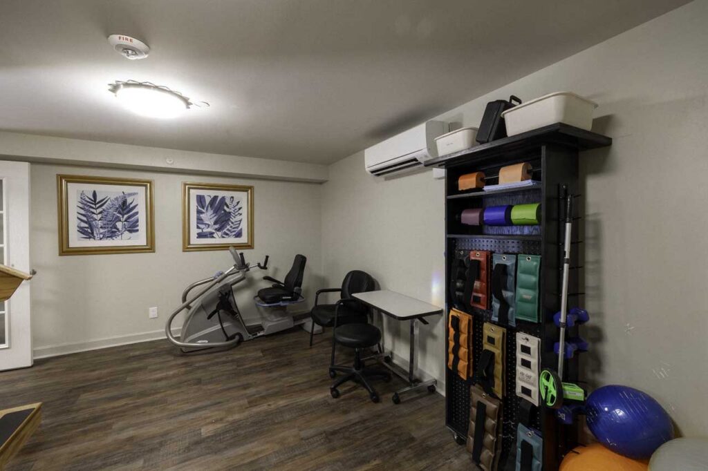 A small room with exercise equipment, an office chair at a table, wall art featuring blue leaves, and a black shelving unit holding therapy and fitness supplies like foam rollers and colorful exercise balls.